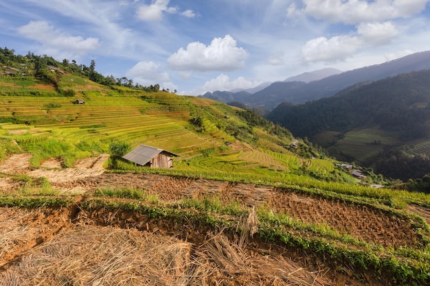 Campos de arroz en terrazas verdes en temporada de lluvias en Mu Cang Chai Vietnam