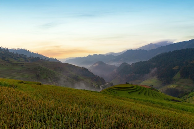 Campos de arroz en terrazas verdes en temporada de lluvias en Mu Cang Chai Vietnam