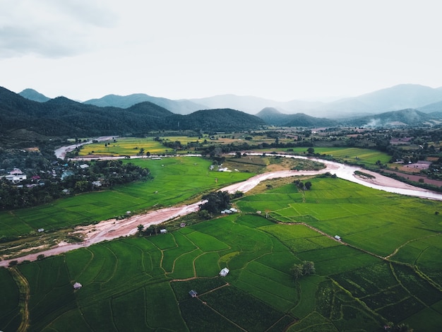 Campos de arroz verde desde arriba En el campo