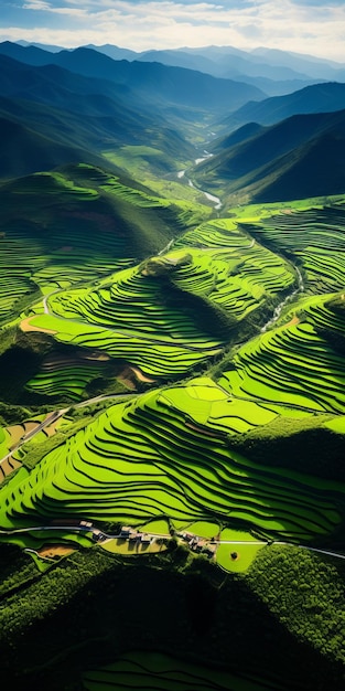 Campos de arroz verdes surrealistas en Vietnam Una fotografía de National Geographic