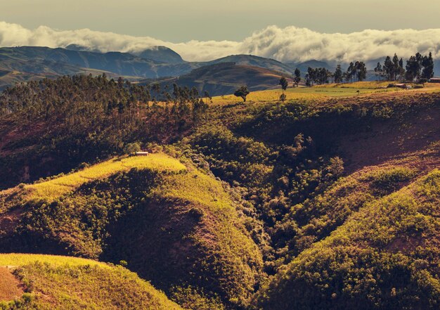 Campos en Bolivia