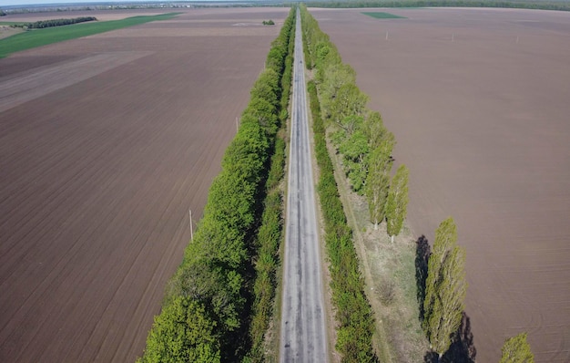 Campos de carreteras y árboles verdes a ambos lados de la carretera.