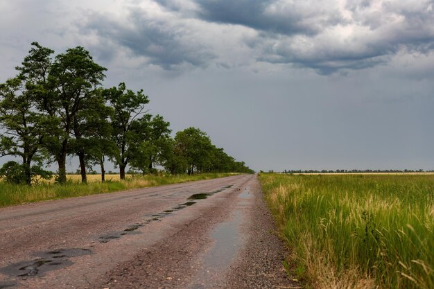 Campos de carreteras asfaltadas después del tren y cielos nublados