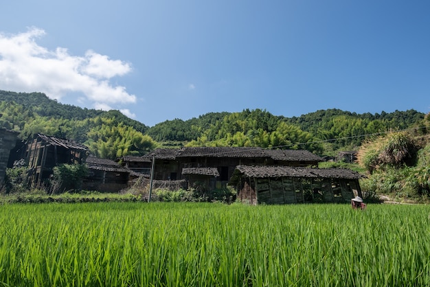 Campos y casas en el campo bajo el cielo azul