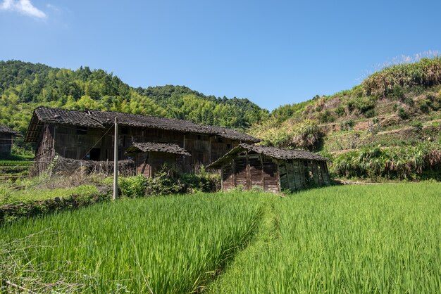 Campos y casas en el campo bajo el cielo azul