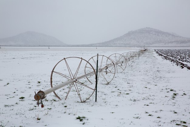 Campos de cereal con ruedas de riego con nieve en Nevada