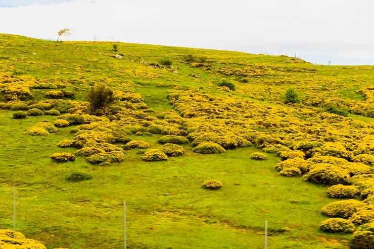 Foto campos, cidades, aldeias e rios dos pireneus