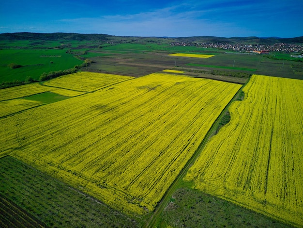 Campos com uma planta em um vale no contexto da vila e do céu na bulgária