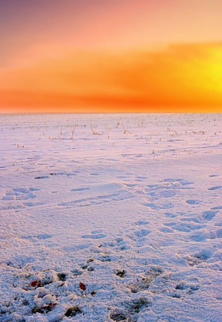 Foto campos cubiertos de nieve al atardecer naranja impresionante cielo naranja en tierras de cultivo congeladas vacías escena de paisaje invernal de suave nevada blanca fresca al amanecer en una escena ártica calentamiento global y cambio climático