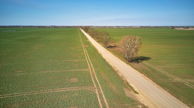 Campos cultivables verdes de primavera Carretera de tierra rural Callejón de árboles de arce Vista aérea Hermosa escena de campo soleado Mañana de abril