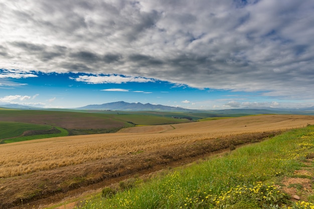 Campos cultivados y granjas con cielo escénico, agricultura paisajística