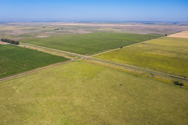 Campos cultivados na região de Pampas Argentina