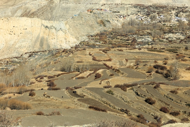 Campos cultivados no himalaia, nepal