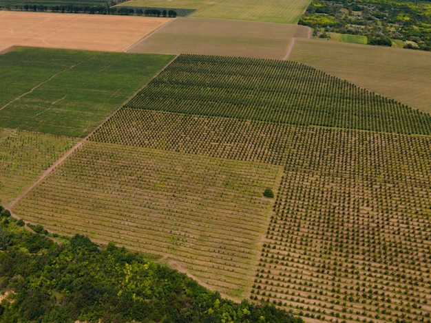 Campos de cultivo con las diferentes culturas