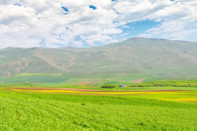 Campos de cultivo verdes al pie de las montañas