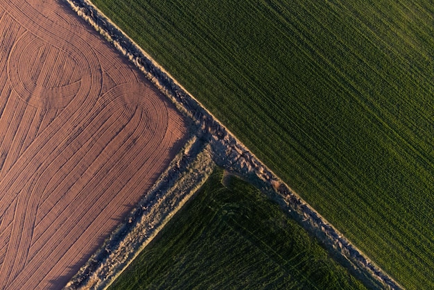 Campos de cultivo vistos desde el aire