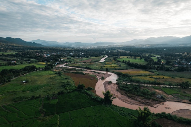 Campos de arroz e arroz na zona rural