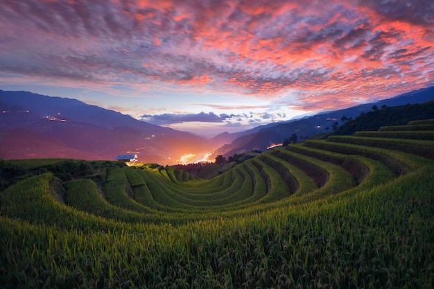 Campos de arroz verde em socalcos em Mu cang chai, campo de arroz do Vietnã durante o pôr do sol
