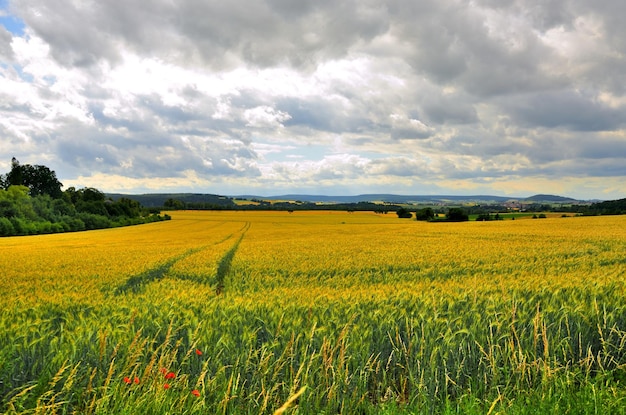 Campos de belas paisagens perto de schloss fasanarie em fulda hessen alemanha