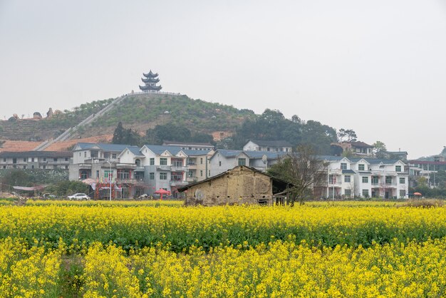 Campos de estupro e casas no campo