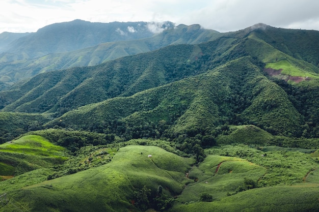 Campos de montanha verde nan thailandgreen do vale da montanha com céu azul