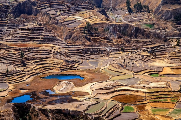 Campos de terraço no Canyon Colca