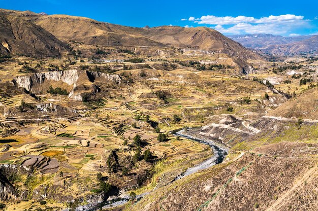 Campos em socalcos no desfiladeiro de colca, na região de arequipa, no peru