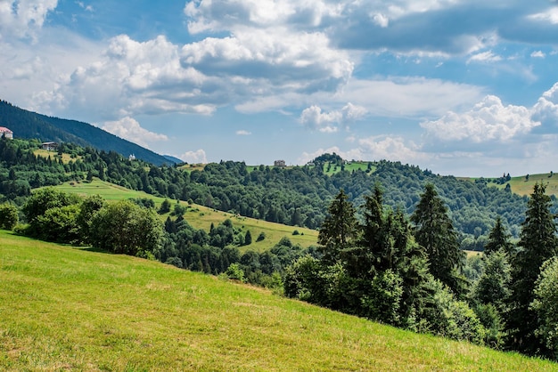 Campos em um fundo de montanhas em um dia quente de verão montanhas cobertas de florestas conceito de ar limpo viagens por terra