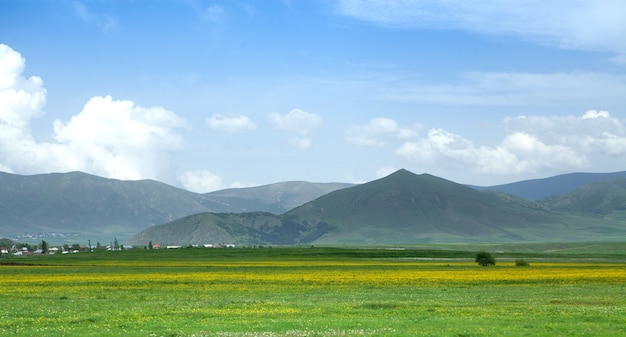 Campos de flores amarillas y una montaña bajo las nubes.