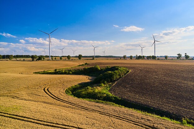 Foto campos frescos jóvenes con molinos de viento durante la campaña de siembra agricultura y ecología