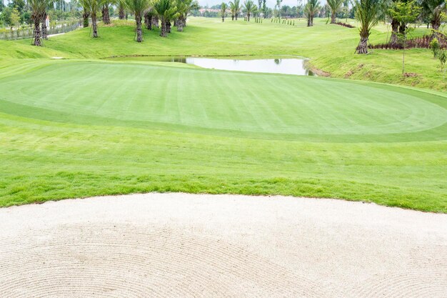 Campos de golf hierba verde