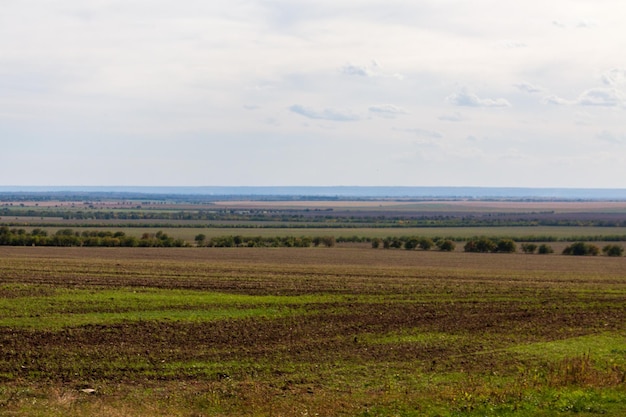 campos largos en el horizonte