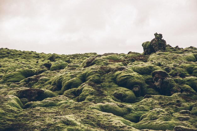 Campos de lava islandeses