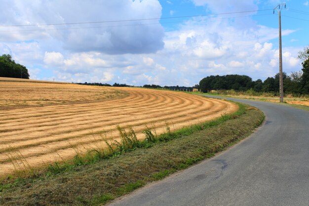 Campos de lino cosechados dibujando lineas en el suelo.