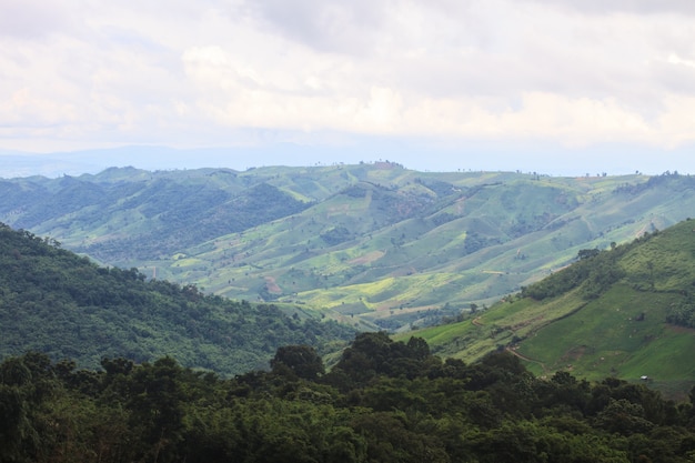 Campos en las montañas