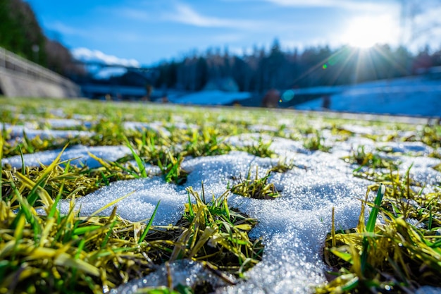 Campos de nieve y pastos exuberantes