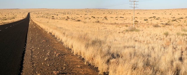 Campos en el norte de Sudáfrica