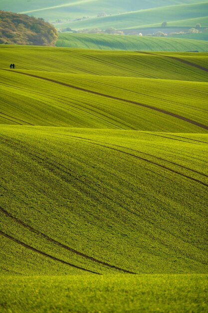 Foto campos ondulados de la moravia del sur moravia república checa