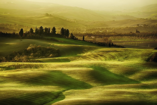 Campos ondulados na Toscana