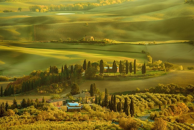 Campos ondulados na Toscana