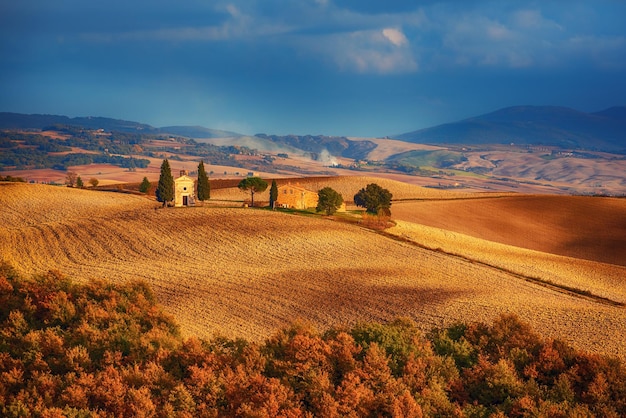 Campos ondulados na Toscana