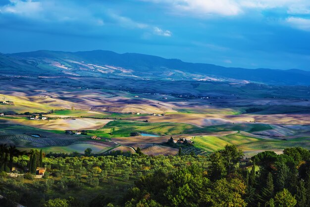 Campos ondulados na Toscana