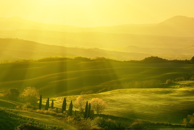 Campos ondulados en Toscana