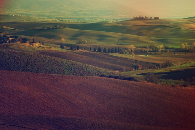 Campos ondulados en Toscana