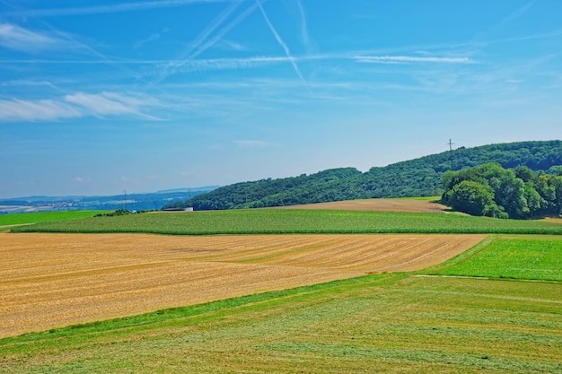 Campos en el pueblo suizo en Yverdon les Bains en el distrito de Jura Nord Vaudois del cantón de Vaud, Suiza.