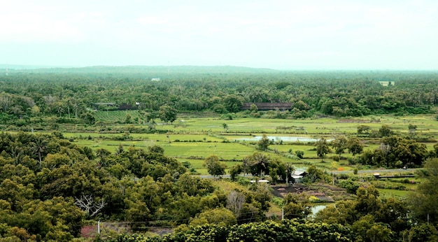 Los campos se toman de arriba