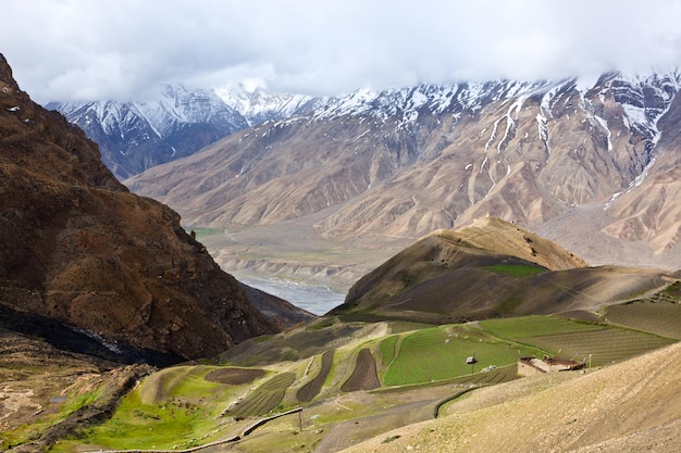 Campos en el valle de Spiti