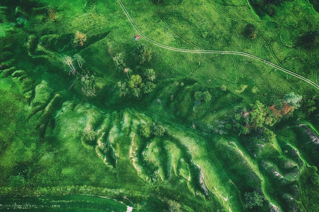 Campos verdes desde arriba