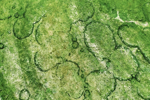 Campos verdes desde arriba