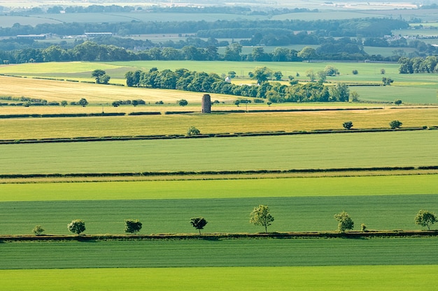 Foto campos verdes y bosque desde arriba en escocia